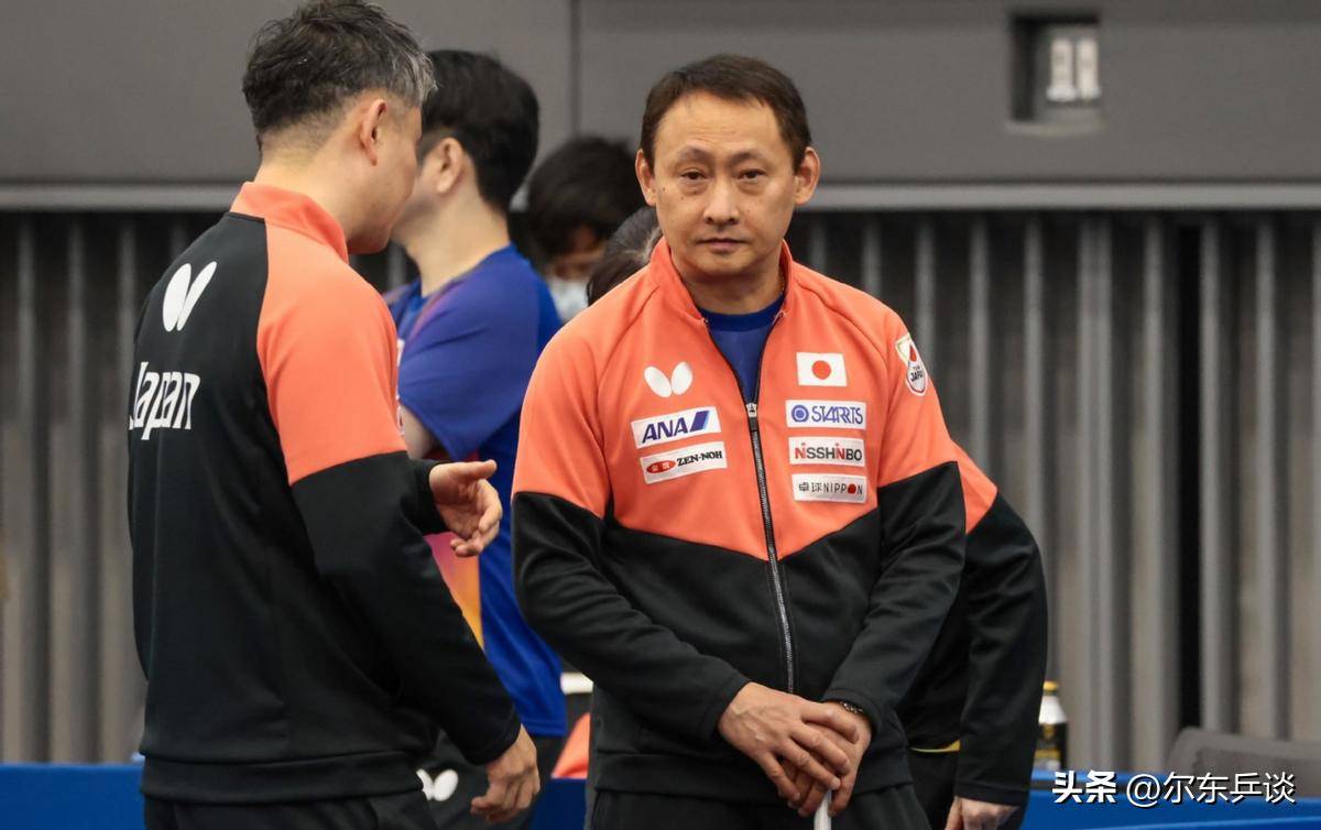 德国队力克葡萄牙队,张本智和点燃赛场 德国队力克葡萄牙队,张本智和点燃赛场