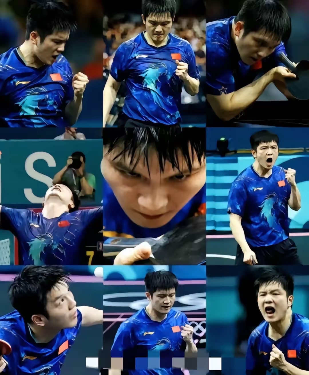 奥地利队逆转波兰队,樊振东高光表现 奥地利队逆转波兰队,樊振东高光表现